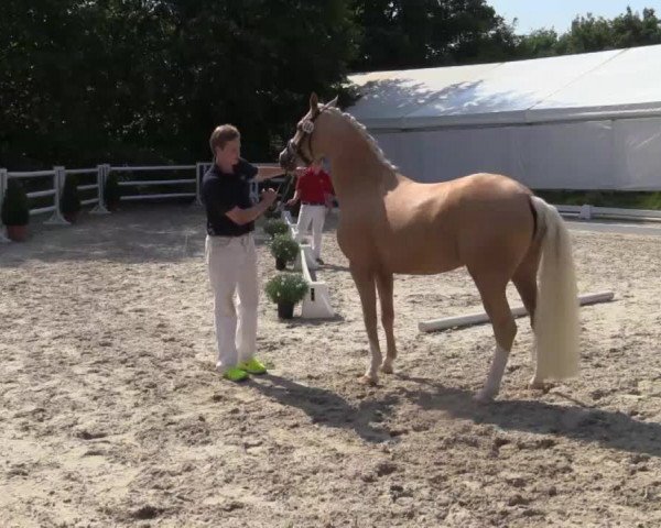 Video of Djamina Mia