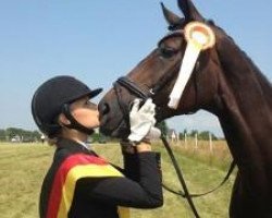 dressage horse Dubarry B (Hanoverian, 2008, from Don Frederico)