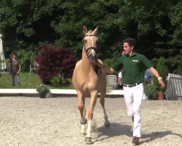 Video of Das Frollein Dreizehn