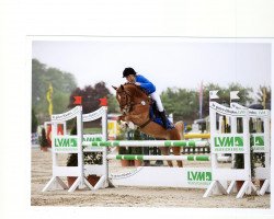 jumper Peter Pony (German Riding Pony, 2007, from Pieter Pan)