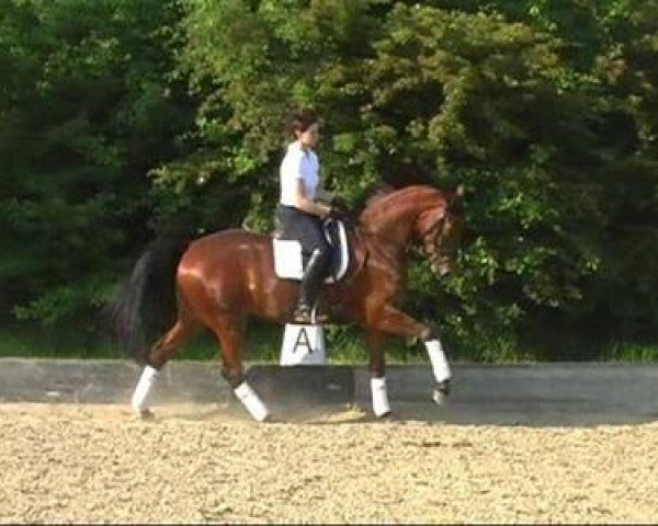 dressage horse La Vie 48 (Rhinelander, 2009, from Lord Loxley I)