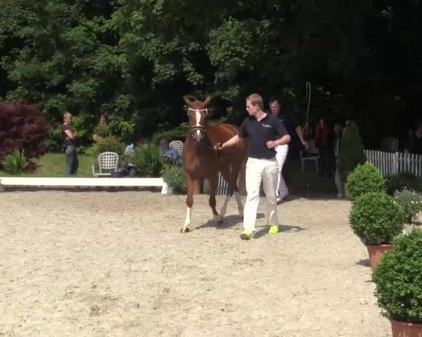 Video of Diva Davina 2