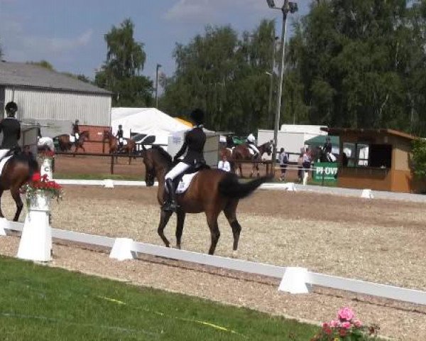 Großes Sommerturnier in Hille 2015