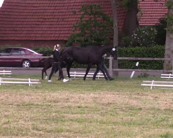 Video von Suntiago H