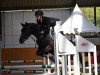 jumper Paul 725 (German Riding Pony, 2006, from Piccolo)