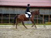 broodmare Angela 97 (Austrian Warmblood, 2002, from Diogines)