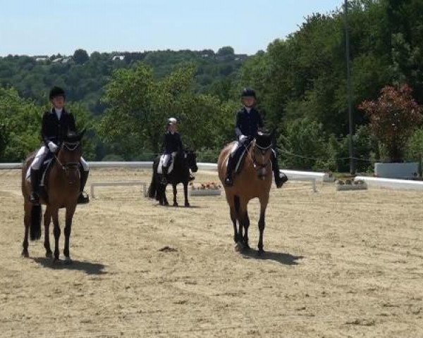 Sommerturnier Lohmar-Hausdorp 2015