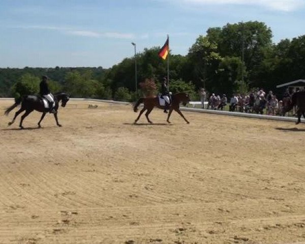 Sommerturnier Lohmar-Hausdorp 2015