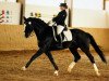 dressage horse Etoile (Hanoverian, 2000, from Escudo I)