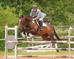 broodmare Deep Reverie (German Warmblood, 1999, from Deep Night xx)