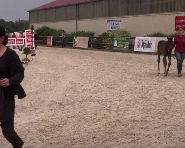 Video of Froschkönig S