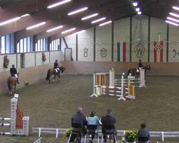 Reit - und Springturnier Hamm-Rhynern 2015