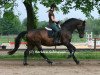 dressage horse Kalani BS (Trakehner, 2007, from Hofrat)