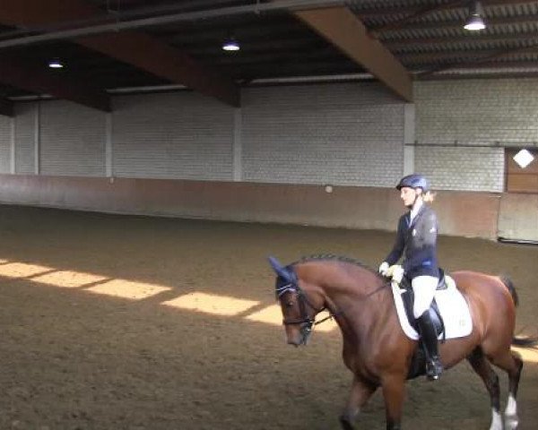Reit - und Springturnier Hamm-Rhynern 2015
