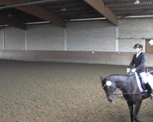 Reit - und Springturnier Hamm-Rhynern 2015