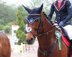 dressage horse Leica 60 (Westphalian, 2007, from Laudator xx)