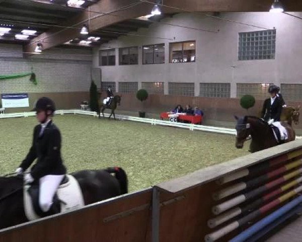 Hallenturnier Leverkusen-Rheindorf 2015