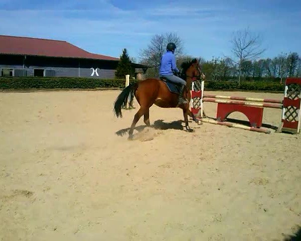 Video of Rasputin