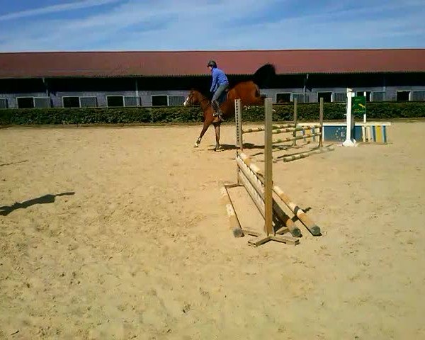 Video of Rasputin