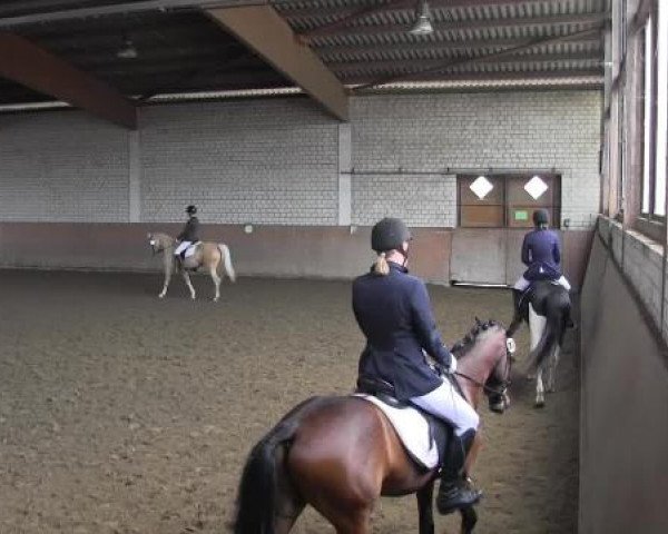 Reit - und Springturnier Hamm-Rhynern 2015