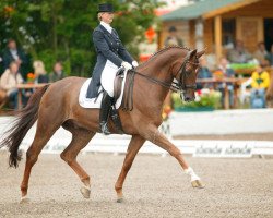 dressage horse Robin des Fontaines (Oldenburg, 1991, from Rubinstein I)