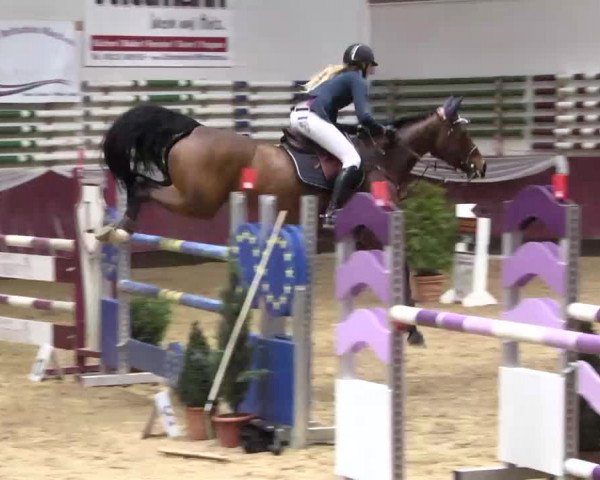 Springturnier Reiterhof Laurent 2015