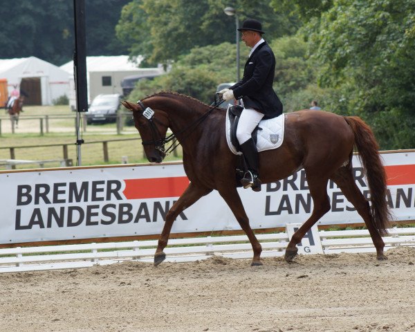 broodmare Rusky Amber (Oldenburg, 2002, from Rubin Royal OLD)