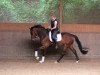 dressage horse Rooney R (Westphalian, 2008, from Riccio)