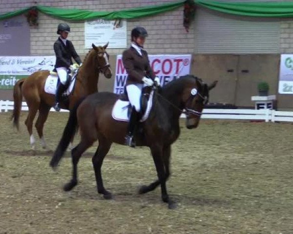 Hallenturnier Leverkusen-Rheindorf 2015