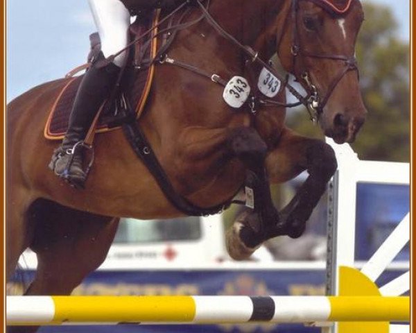 broodmare Like Malinka (KWPN (Royal Dutch Sporthorse), 2003, from Marlon)