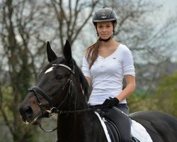 dressage horse Skyline 63 (Westphalian, 2007, from Sacre Coeur)