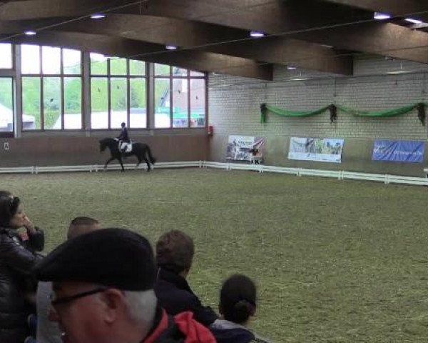 Hallenturnier Leverkusen-Rheindorf 2015