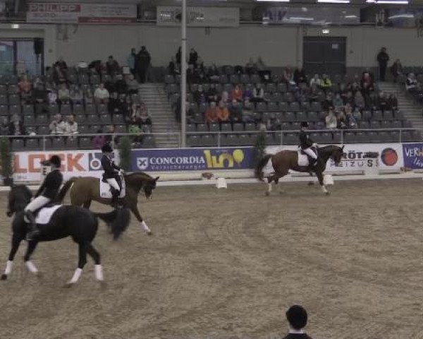 VER-Dinale 2015