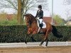 dressage horse Lionel Messi (Hanoverian, 2009, from Londontime)