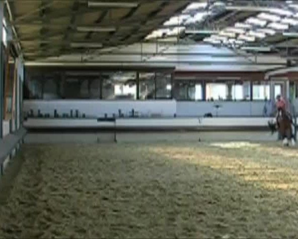 Video of Grande Cherie