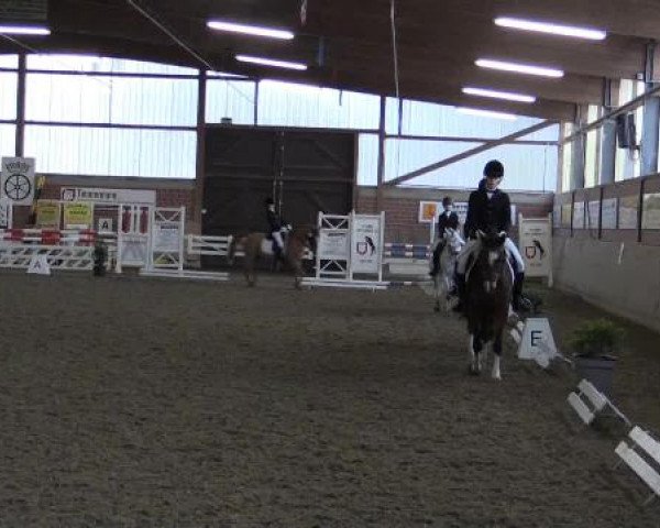 17. Hallen-Reit- und Springturnier Lembeck