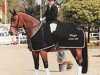 dressage horse Wellesley 4 (Zweibrücken, 1998, from Wellington)