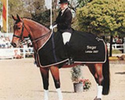 dressage horse Wellesley 4 (Zweibrücken, 1998, from Wellington)