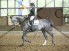 dressage horse Mechthild (Westphalian, 2009, from Piano II)