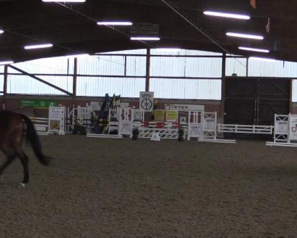 17. Hallen-Reit- und Springturnier Lembeck