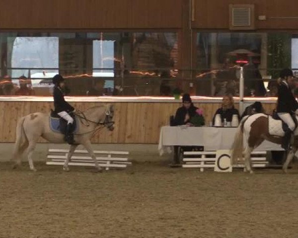 Video of Lolle, Heidi