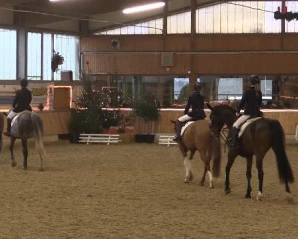 Video of Der Clown, Vera, Rosi