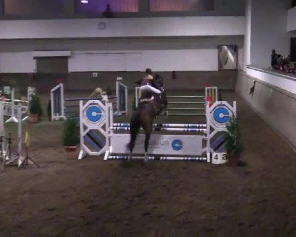 Winterchampionat Essen-Stadtwald 30.11.2014
14