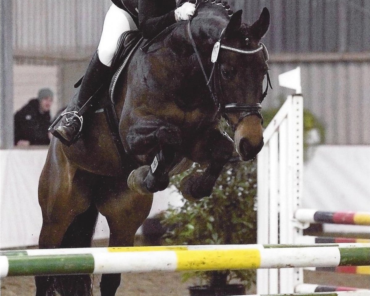dressage horse Rupina (Westphalian, 2003, from Rockwell)