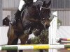 dressage horse Rupina (Westphalian, 2003, from Rockwell)