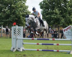 jumper Limetree Obi-Wan Kenobi (Czech Warmblood, 2005, from Corrado II)