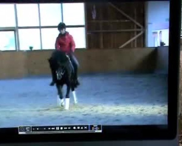 Video of Boogie Woogie