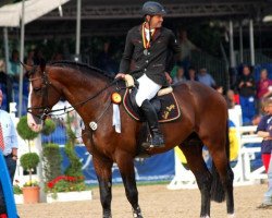 stallion Coco Bongo Boy (Rhinelander, 2008, from Cassini Boy Junior)