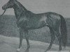 stallion Fort de France xx (Thoroughbred, 1950, from Escamillo xx)