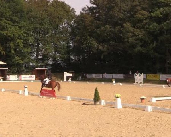 Video of Valido's Touch
